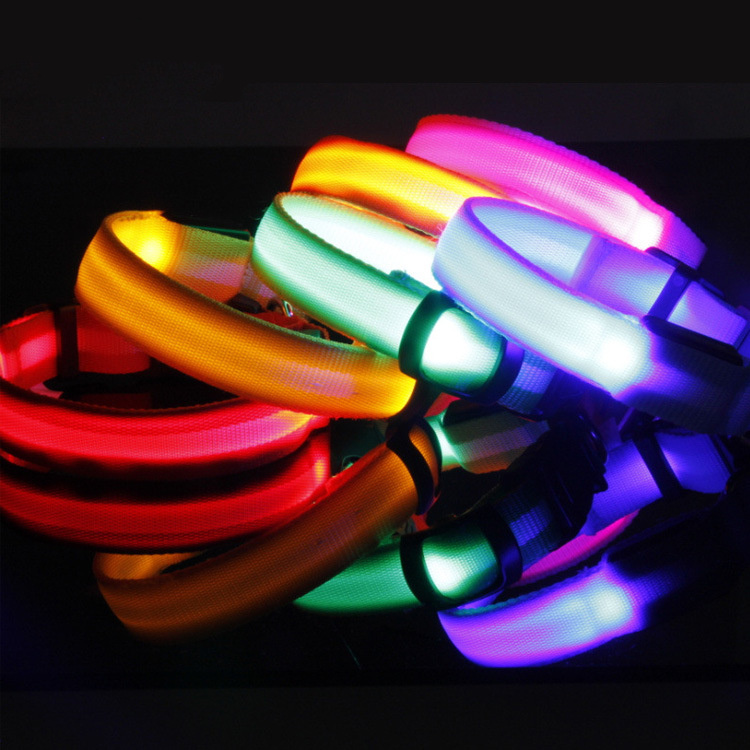 Safety Dog LED Collar - 图片 2